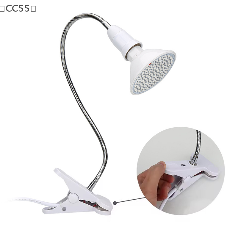 ieniaCC55 ParqueRotlichttherap – Skincare Glowing Bewertung und Preis